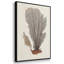 Knorr Shells & Coral I, ensemble de 3 toiles encadrées sur toile-97792423-97792422