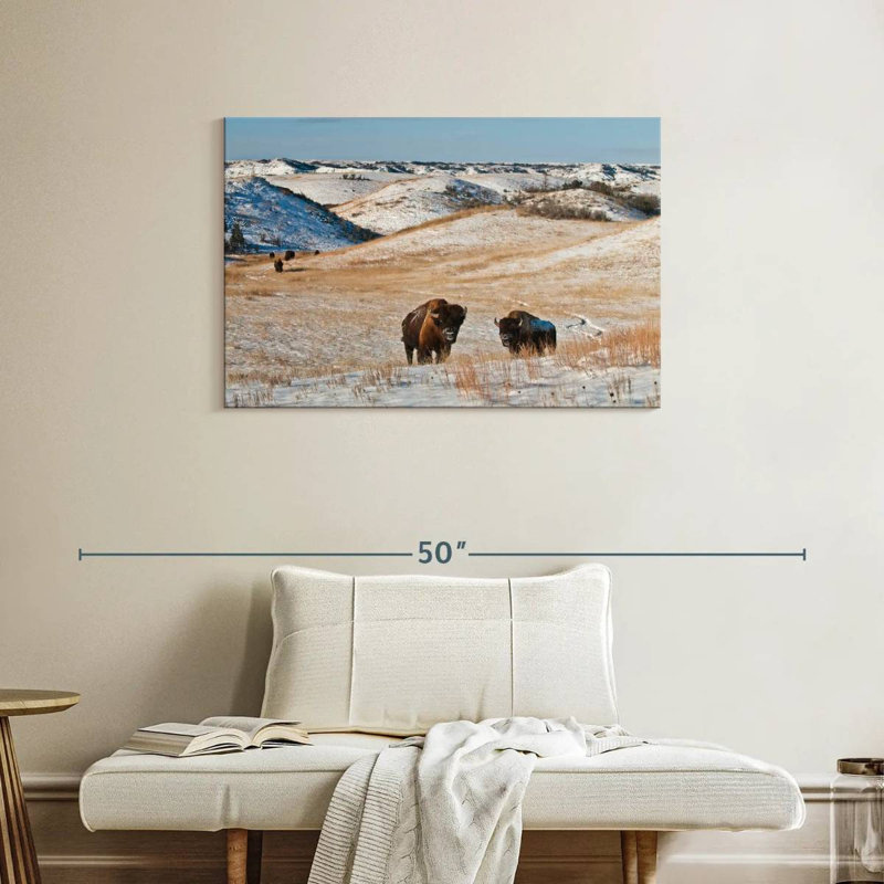Alvord Buffalo en hiver, H 24 po x l 36 po