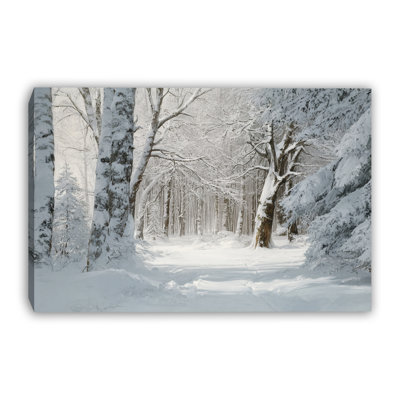 Winter Pine Landscape Wrapped Canvas Wall Art