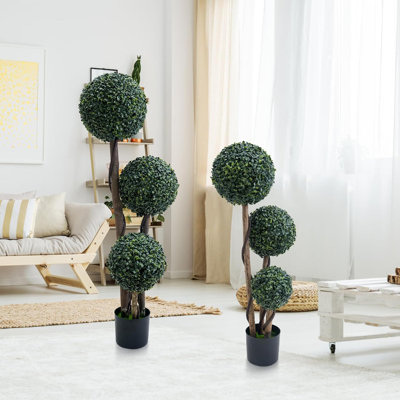 11.42cm Plant