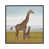 White Framed is unavailable