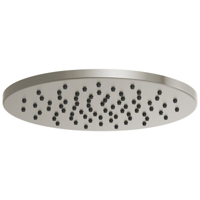 Essential™ Rain Adjustable Shower Head