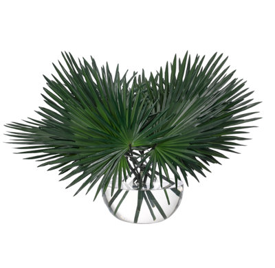 Fan Palm, Green, Glass Bubble, 34wx26dx28h