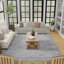 Jacan gris Christine Bayrend-64722367