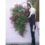 Pot de fleurs mural en plastique Penman