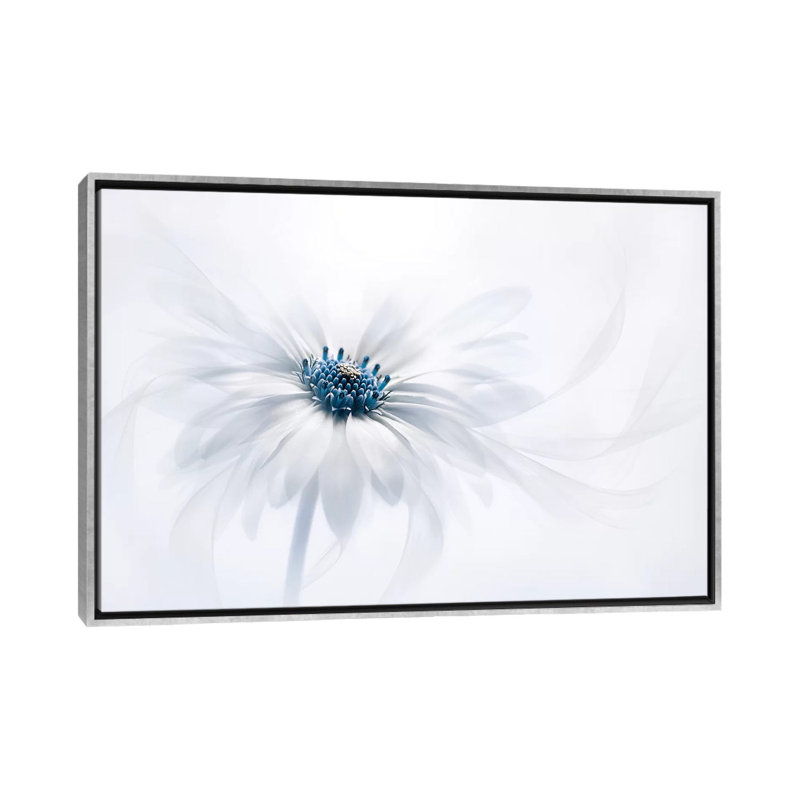 « Serenity » par Jacky Parker-reproduction de photo, Pas de tapis, H 18 po x l 26 po x P 1,5 po, Toile avec cadre argenté