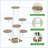 7-Tier White & Brown Multiple Plants Corner Shelf