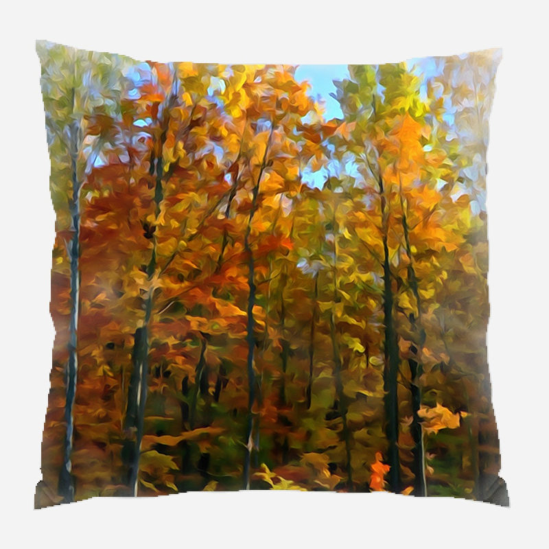 Coussin décoratif aquarelle Paterson, Microsuède, Intérieur