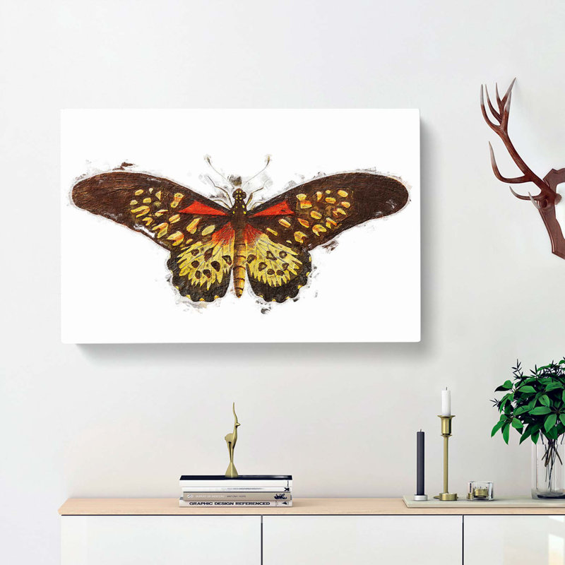 Leona Butterfly by George Shaw - Wrapped Canvas, 40cm H x 60cm W x 3cm D