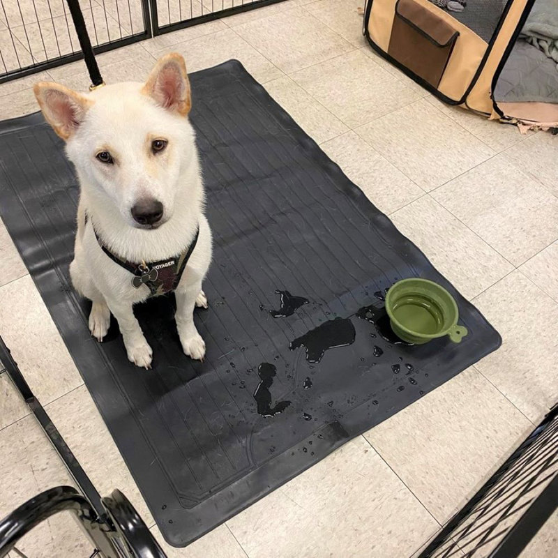 Anti-Skid Placemat