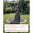 Weather Resistant Waterfall Fountain with Lights