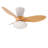 Benioff Ceiling Fan with LED Lights