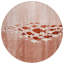 Tapis intérieur / extérieur rond en cuivre et ivoire 8 pi Terra Cotta
