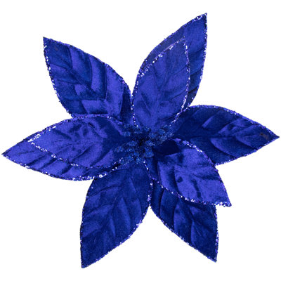 Tiges de poinsettia