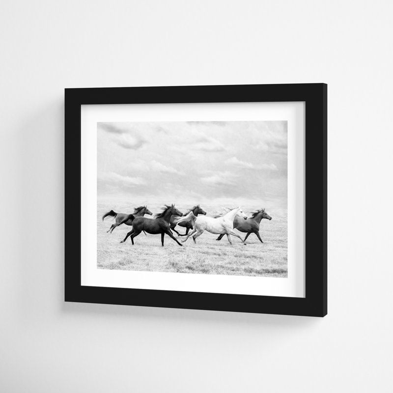 Horse Run I by PHBurchett, 11" H x 13" W, Black