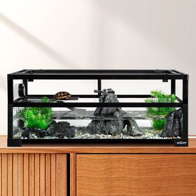 Reptile Starter Kit
