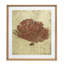 Red Sea Fan Print by Sarah Atkinson-47362305