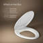 Lustra with Quick-Release Hinges Toilet Seat-286980276-342726762