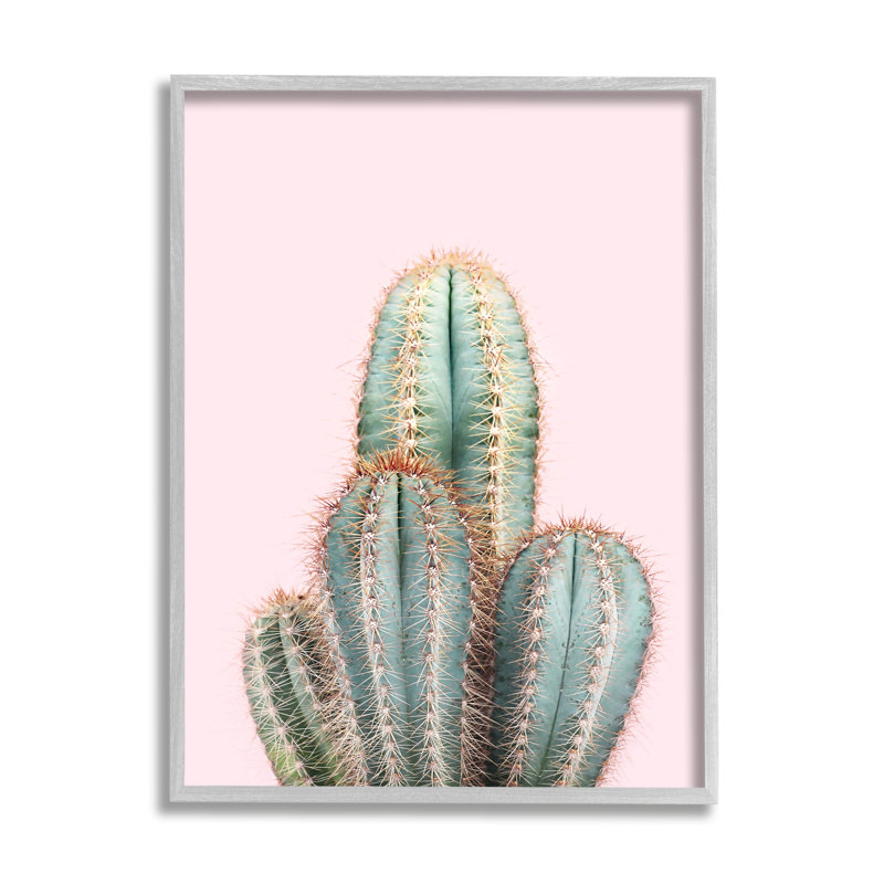 Art mural sur toile Stupell Industries Blush Cactus, H 30 po x l 24 po x P 1,5 po