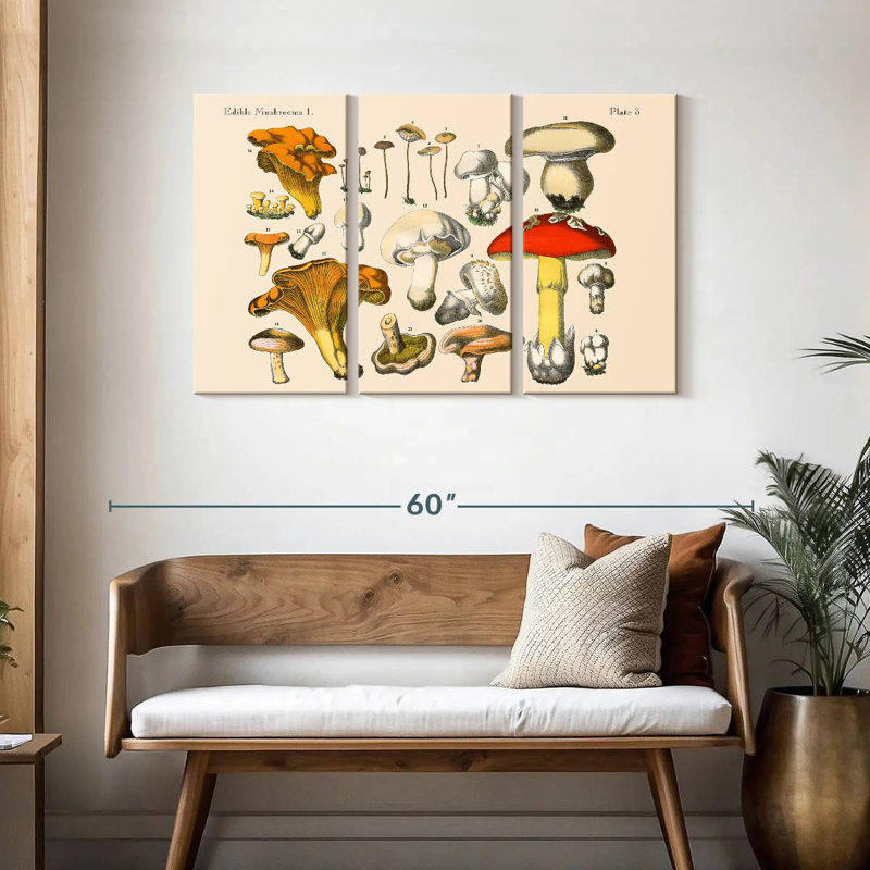 Champignons rétro Yarlin, H 28 po x l 45 po