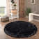Medinger Performance Indoor Rug