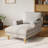 Upholstered Chaise Lounge With Adjustable Backrest-501782105-501782084