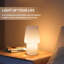 Lataija Table Lamp
