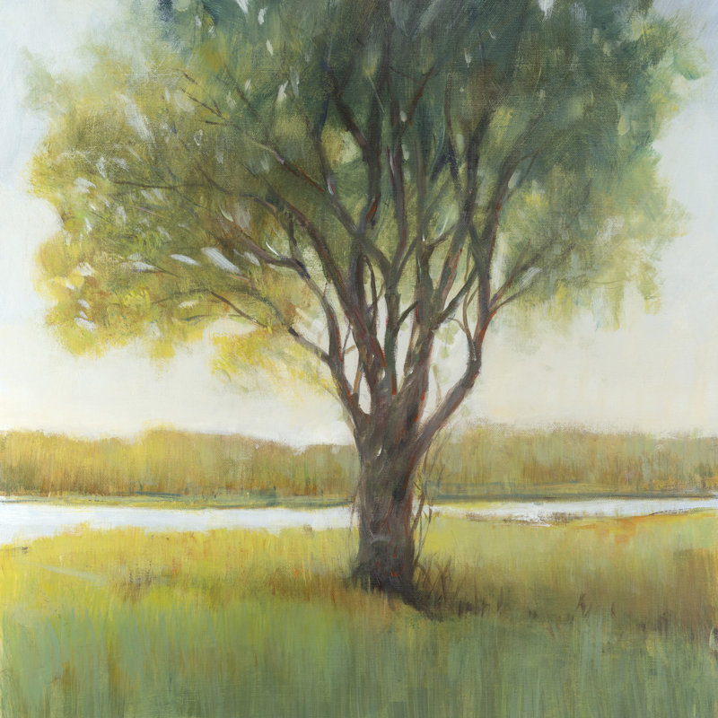 Shade Tree II by Tim OToole - Wrapped Canvas Painting, 30cm H x 30cm W x 3.8cm D