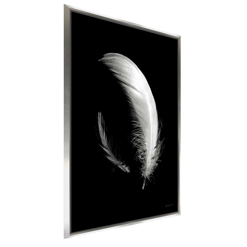 Dream Feathers - Photographie d'un seul cadre, L 21,5 po x H 33,5 po, Encadrement argenté