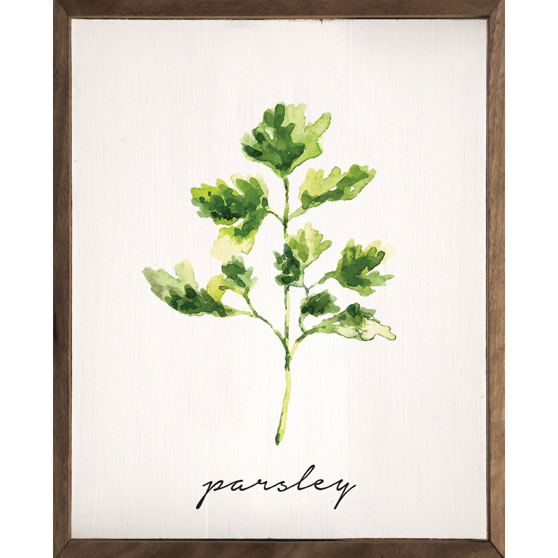 Series Herb Parsley White, 30" H x 24" W