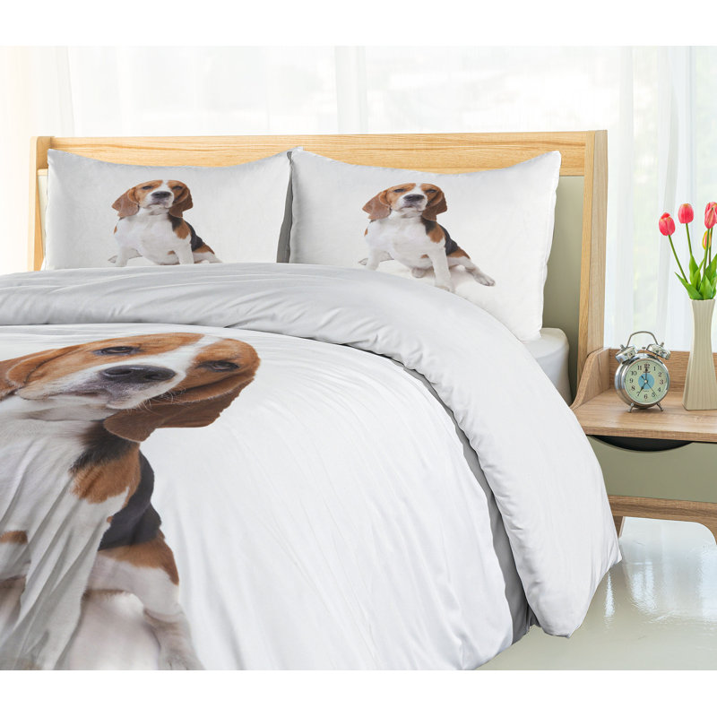 No Duvet Cover, Queen Duvet Cover + 2 Standard Shams