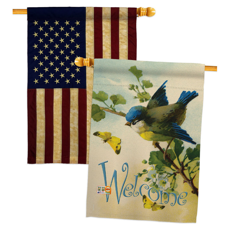 Drapeaux 40 x 28 pi