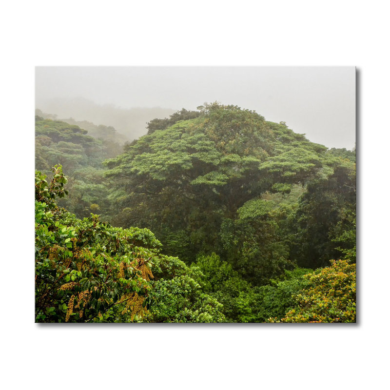 Wrapped Canvas Print, 80cm H x 100cm W x 2cm D
