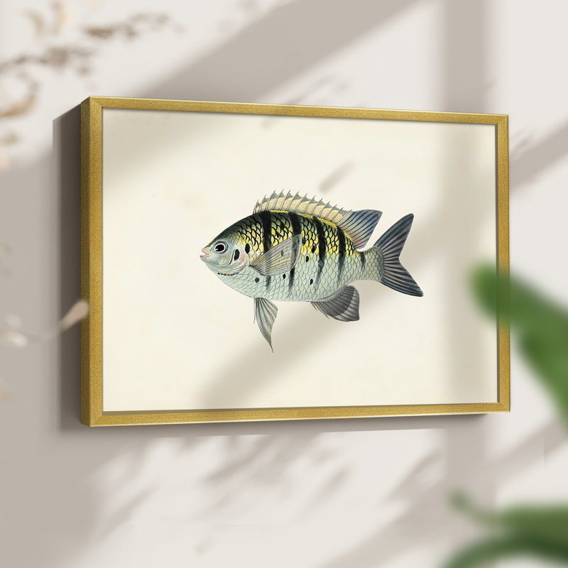 Tropical Fish Collection VI -Framed Print - Restickable