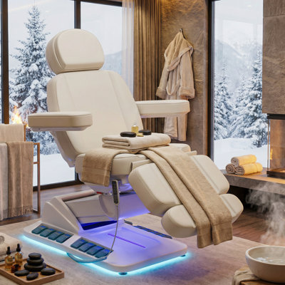 Table de massage électrique à 4 moteurs sans assemblage, chauffage thermique pivotant et inclinable Esthéticienne Lit de traitement médical pour la cabinet de soins dentaires Chair Fauteuil à tatouer esthétique, gris