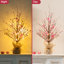 Arbre de table 20 po H