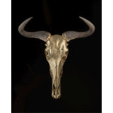 Skull And Bones I Print by Nash Rambler