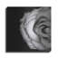«Lost Love» par Donnie Quillen-1147643066