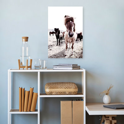 Islande, cheval, Rikka, art contemporain cheval