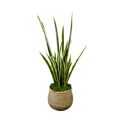 Plantes artificielles 49 po Crestwood