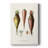 Fruit & Vegetable Varieties VI -Custom Wrapped Gallery Cavas-1622999628