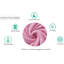 Thayer Solid Colour Duvet Cover Set with Pillowcases Included-956596779-956596780