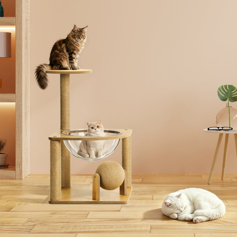 Arbre à chat à 2 niveaux avec nacelle en acrylique, mini-chat avec poteaux à griffes et boule suspendue, pour petits animaux de compagnie