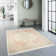 Hillegierd Oriental Indoor Rug