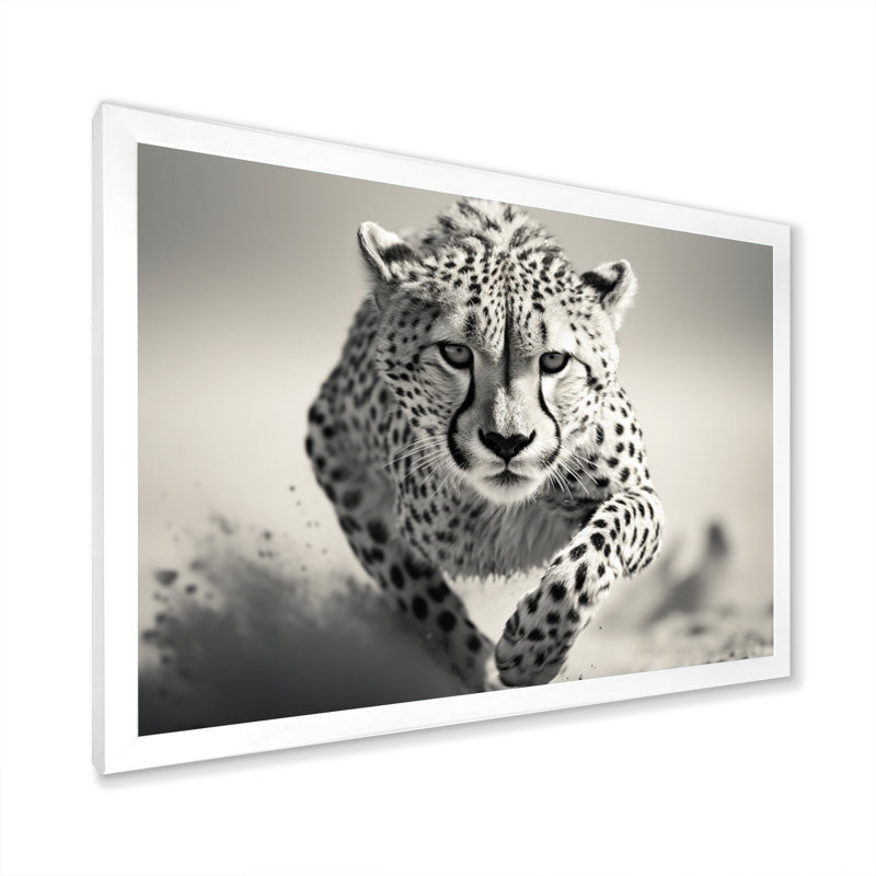«Afrique Cheetahs Speed», reproduction d'art sur toile, H 12 po x l 20 po x P 1 po, Cadre photo blanc