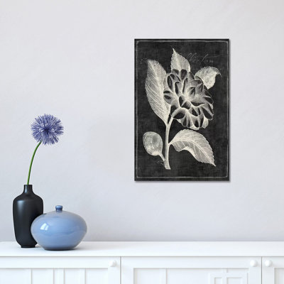 Black Botanical II by PI Galerie - Wrapped Canvas Panoramic Painting