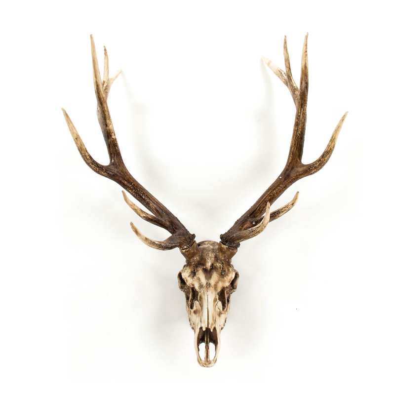 Deer Skull Handmade Rustic Landscape & Nature Wall Decor on Resin