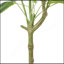 120CHA PACHIRA Macrocarpa artificiel-1604892878