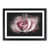 Black Framed selected