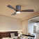 42.5" 3 - Blade Dimmable LED Light Standard Ceiling Fan with Remote Control and Light Kit Included